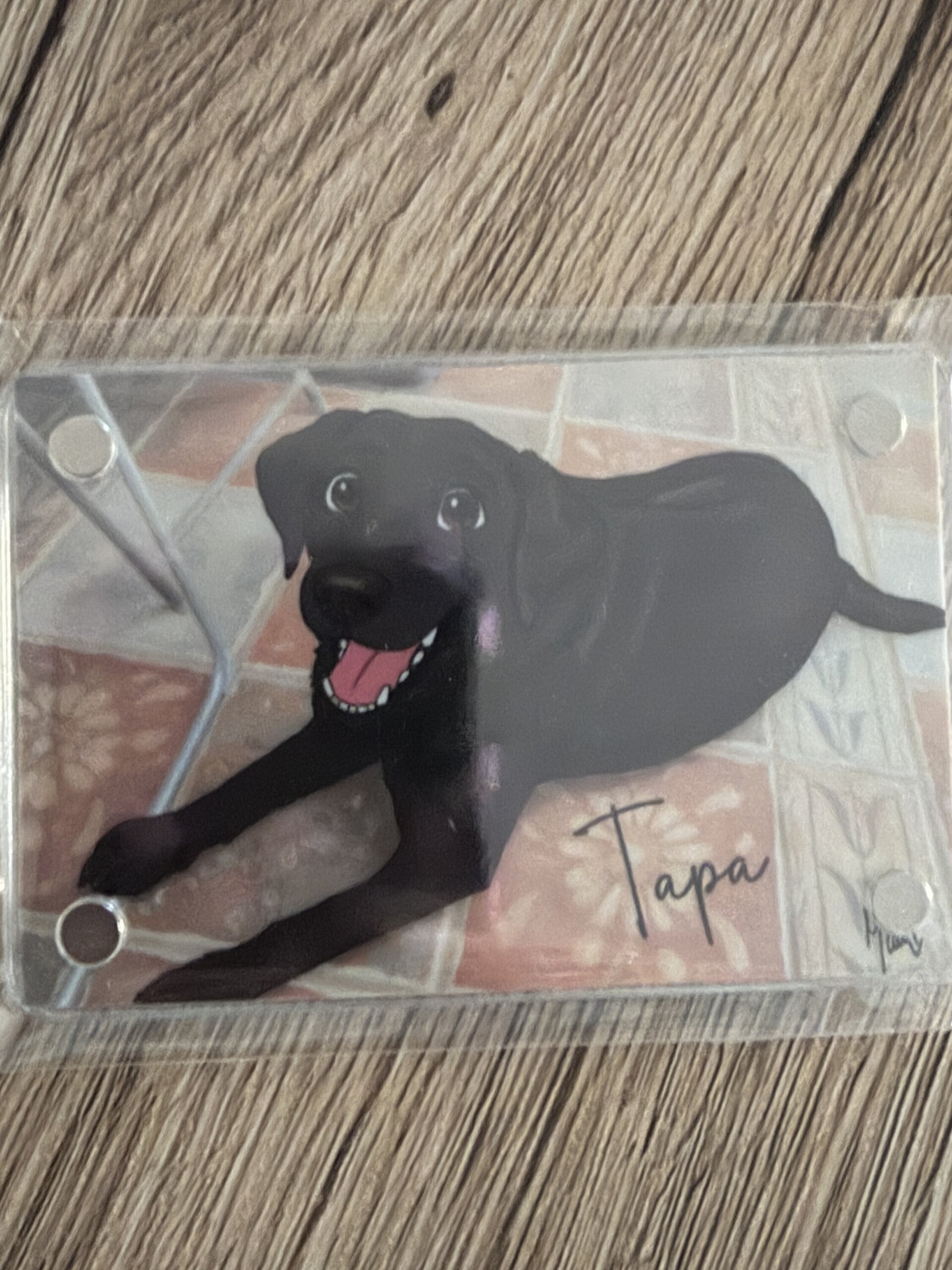 Imán Personalizado Kawaii Mascotas - 3