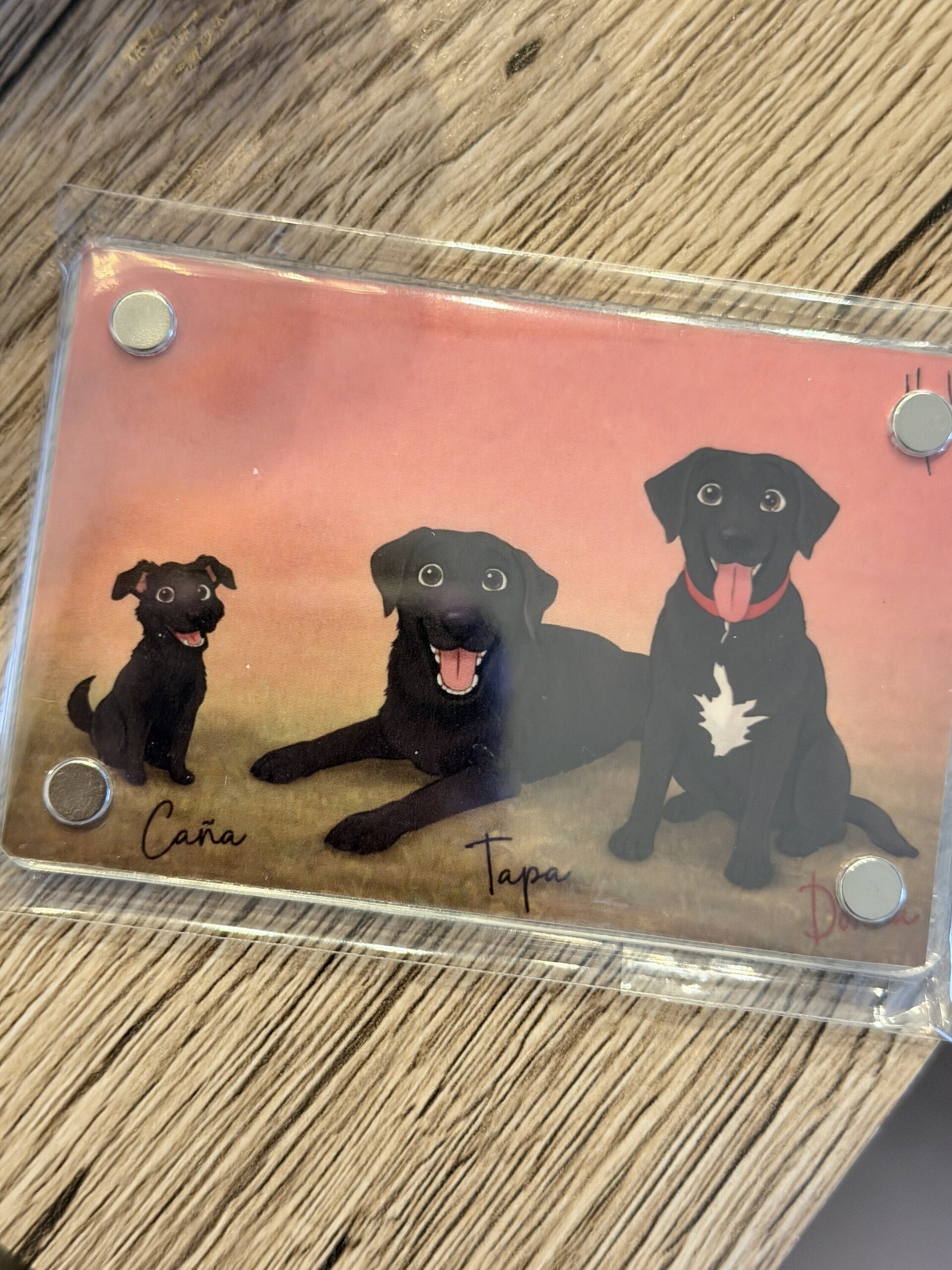 Imán Personalizado Kawaii Mascotas - 4