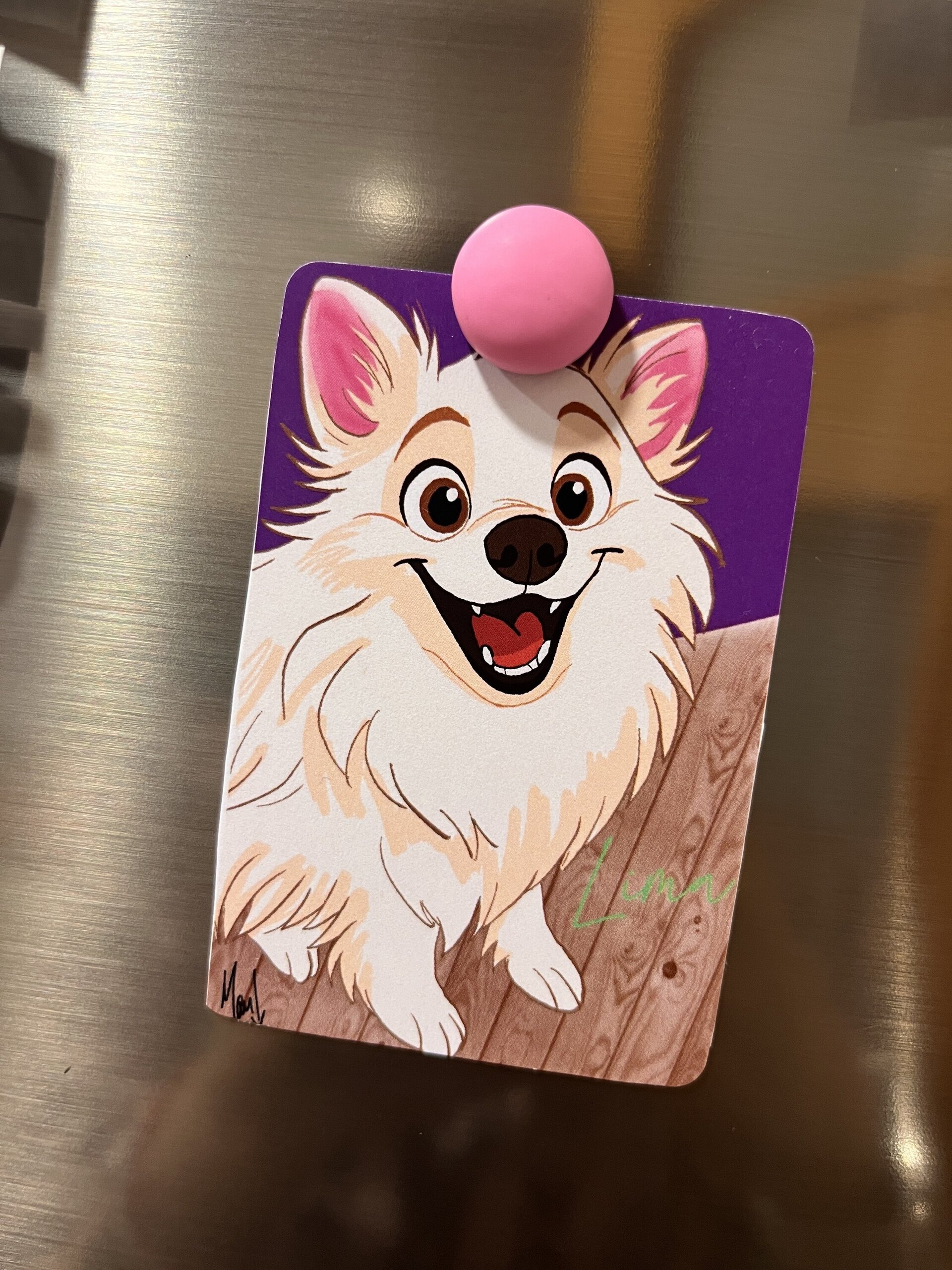 Imán Personalizado Kawaii Mascotas - 3